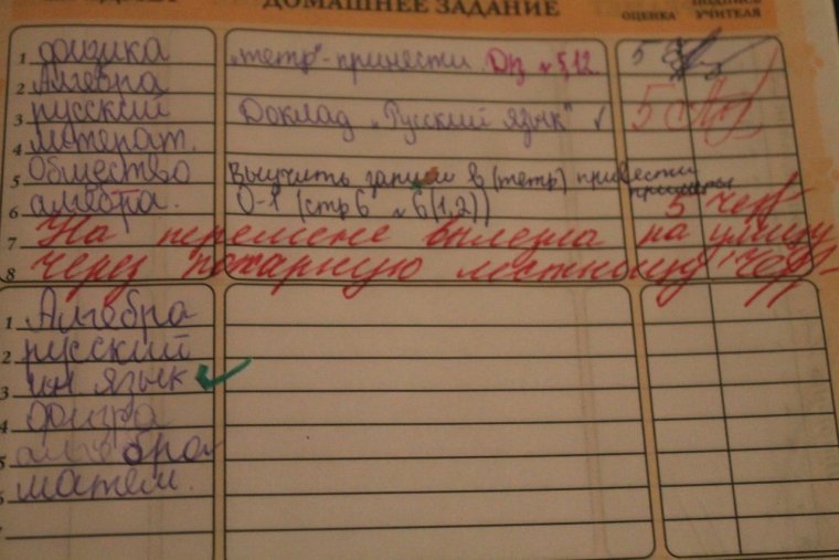 Заметки в дневниках учеников