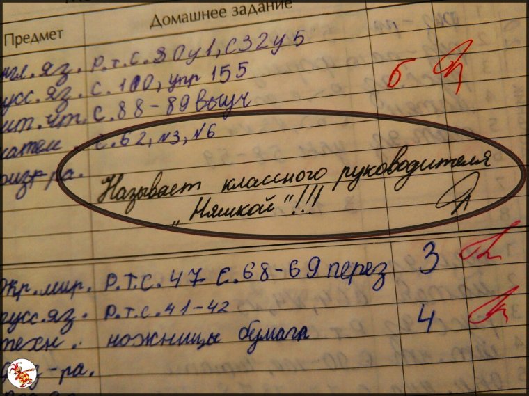 Упоротые замечания в дневниках