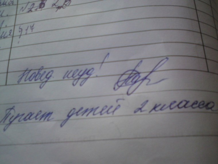 Замечания в дневниках школьников