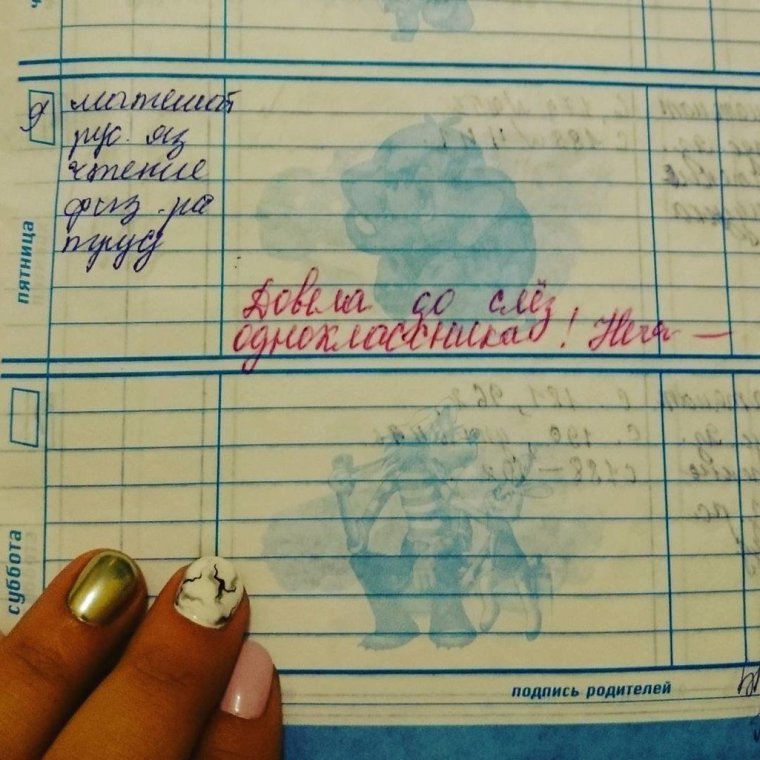 Смешные замечания в дневнике