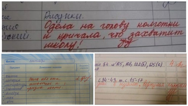 Смешные дневники для школы