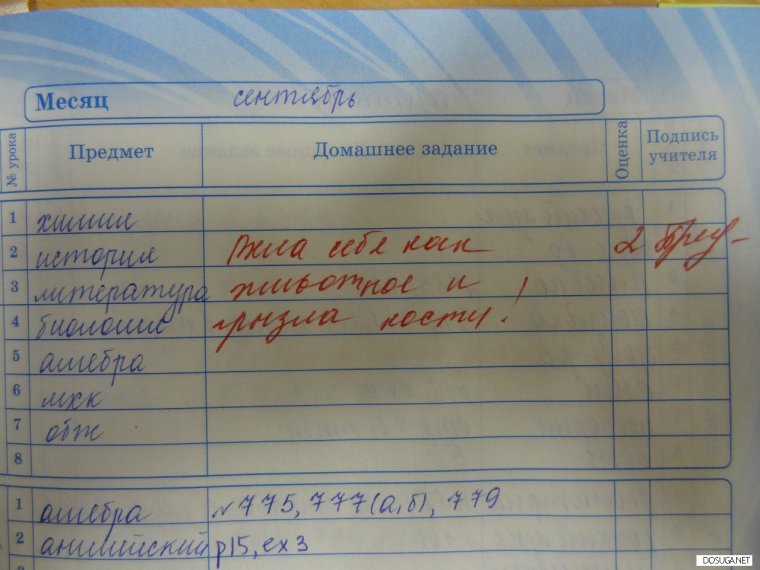 Школьные приколы