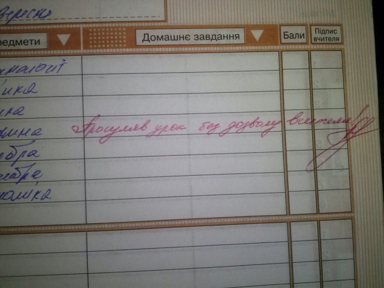 Замечания в дневнике от учителей и смешно