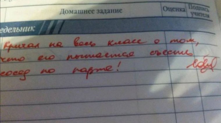 Замечания в школьных дневниках