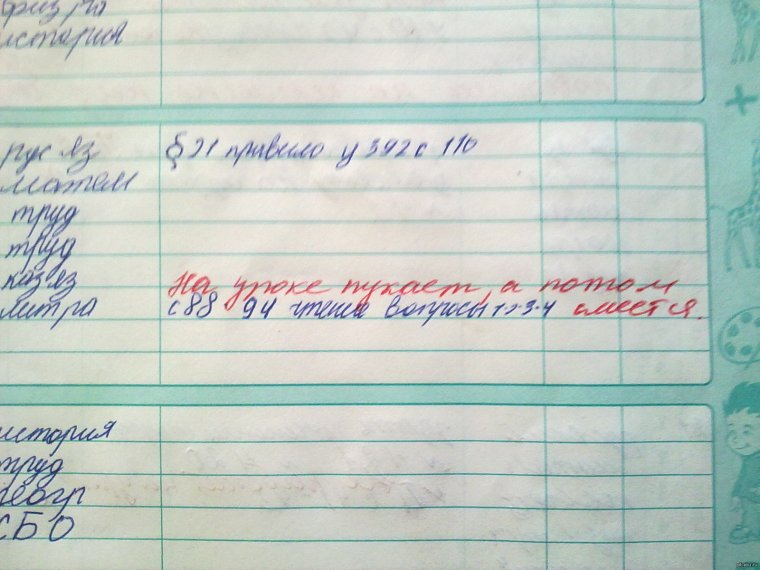 Замечание в дневнике