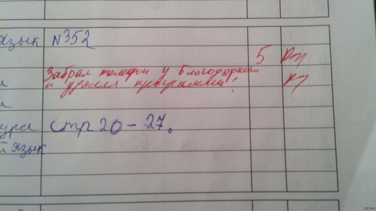 Убойные замечания в дневниках