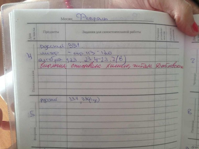 Прикольные записи в тетрадях