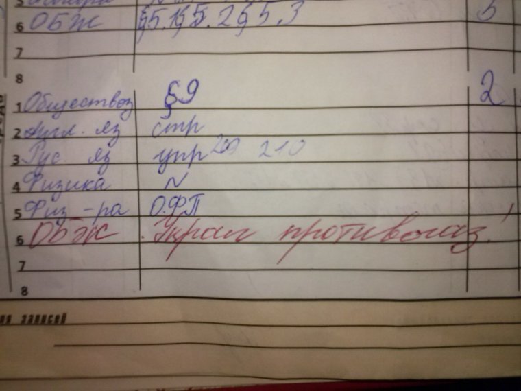 Смешные замечания в школьных дневниках