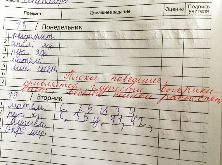 Записи в дневнике приколы