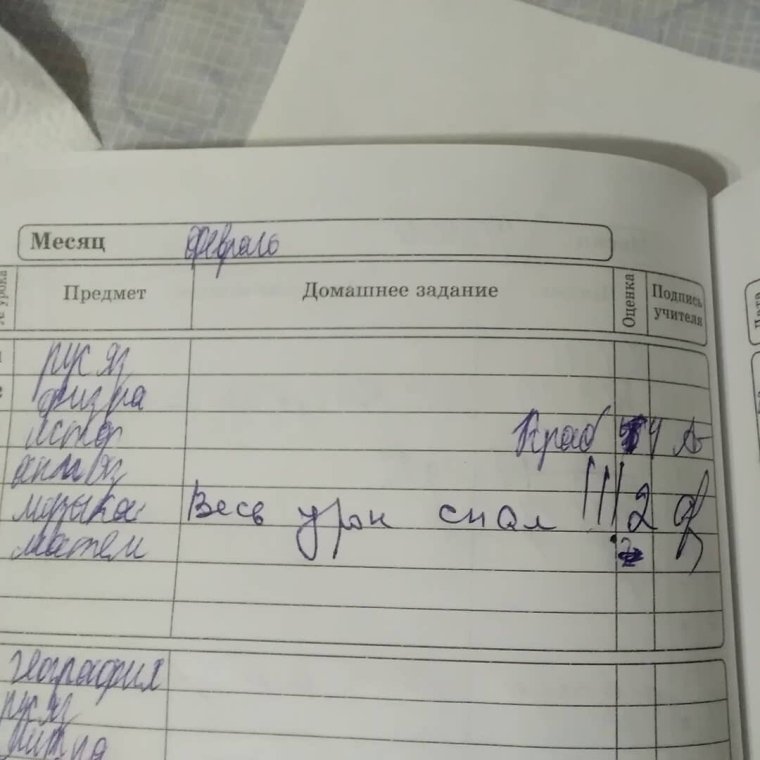 Смешные надписи в дневниках школьников