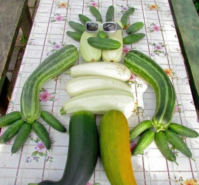 Смешной кабачок