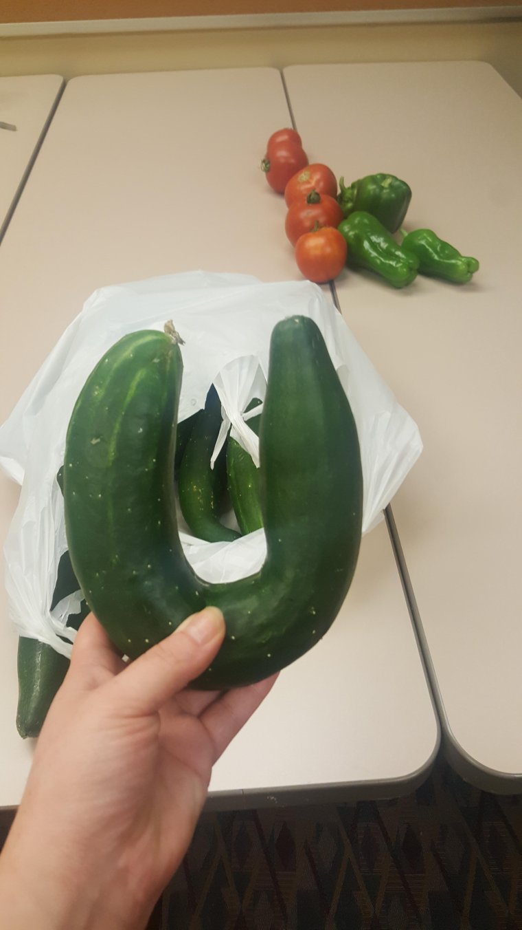 Большой огурец прикол