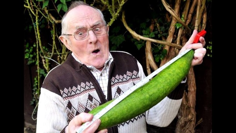 Самый большой огурец