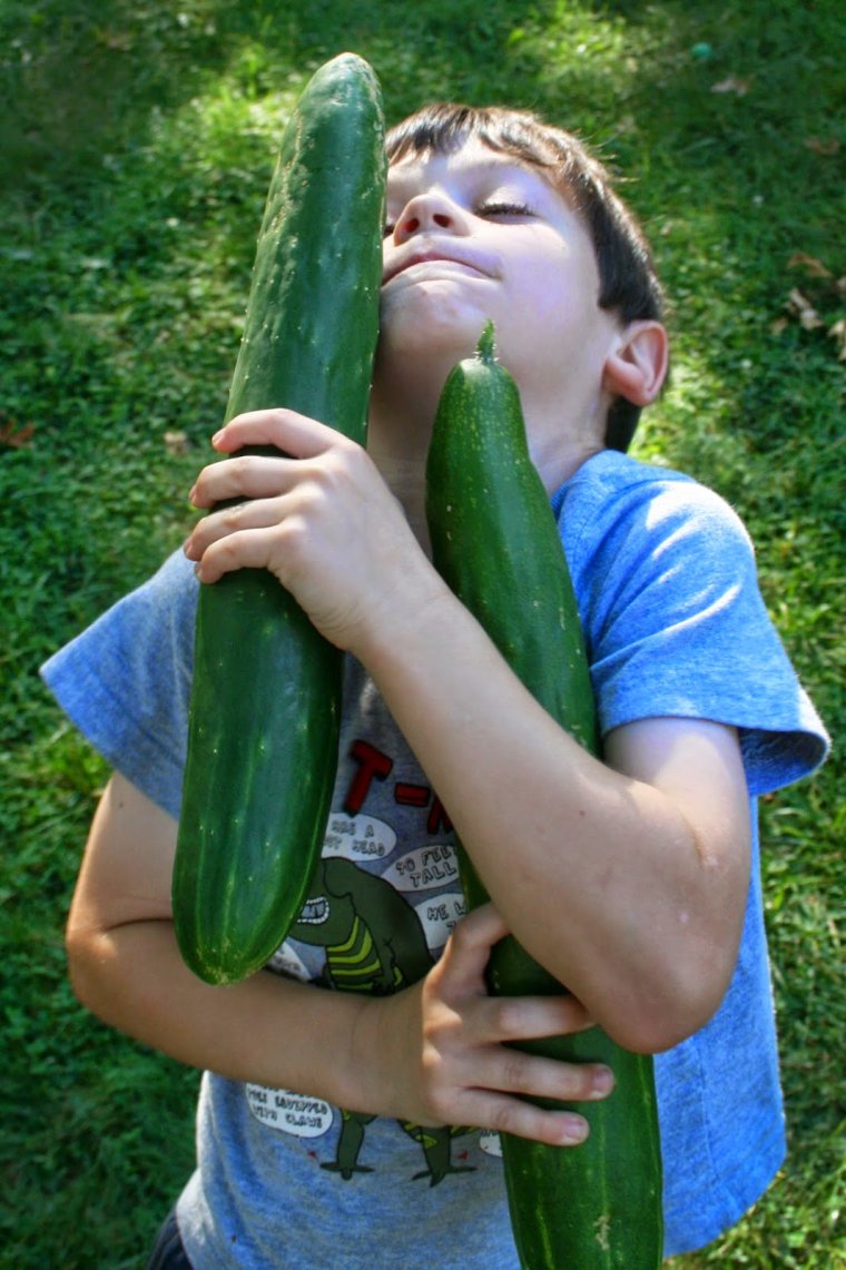 Самый длинный огурец