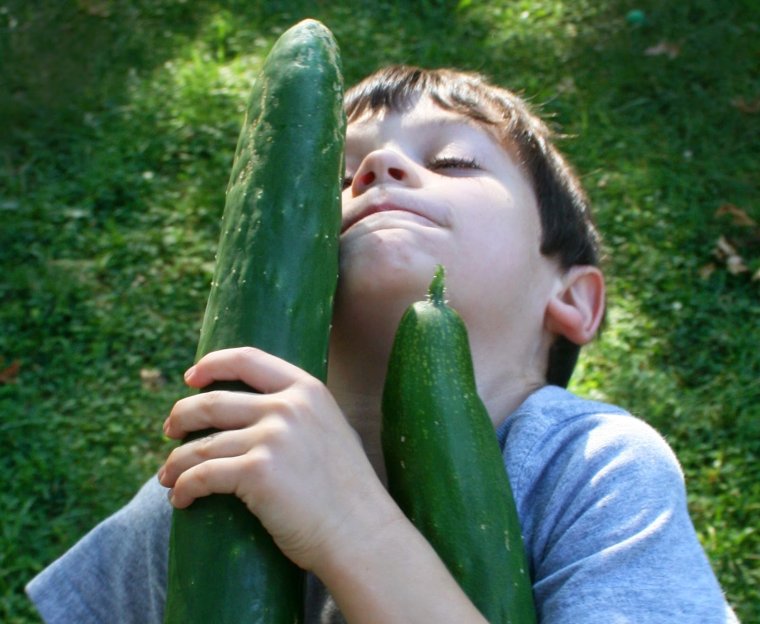 Шальные огурцы