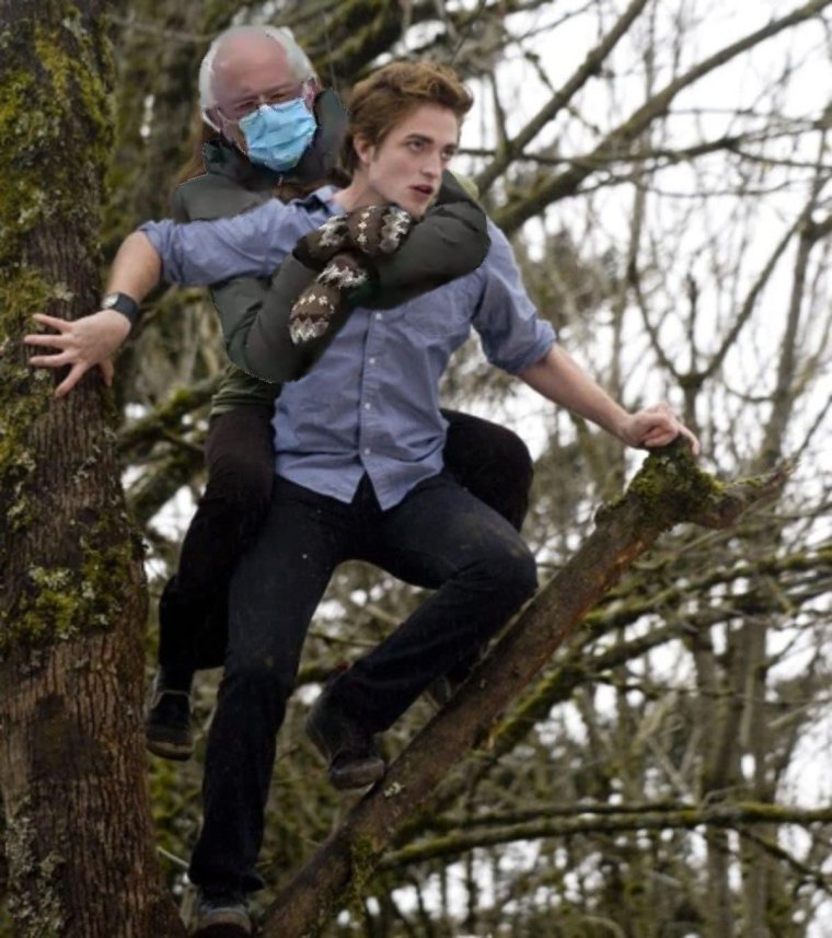 Белла и Эдвард Сумерки 2008