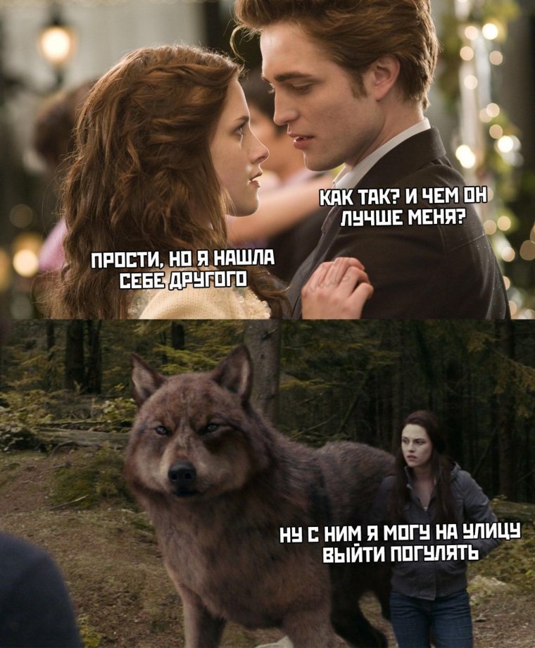 Сумерки приколы