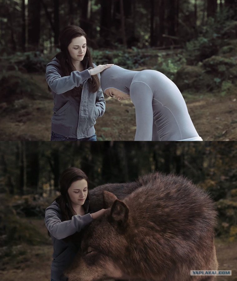 Сумерки за кадром Джейкоб