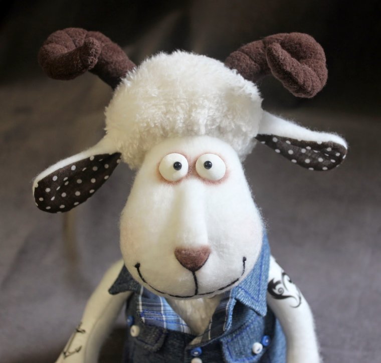 Смешные овечки