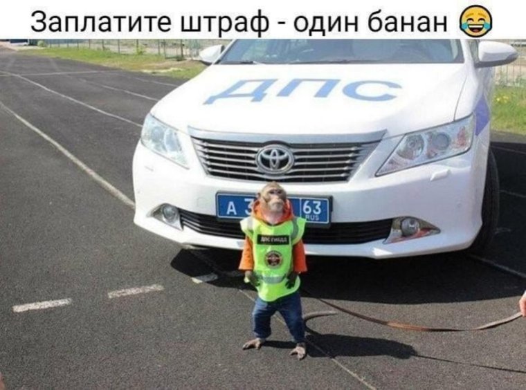 Приколы про гаишников