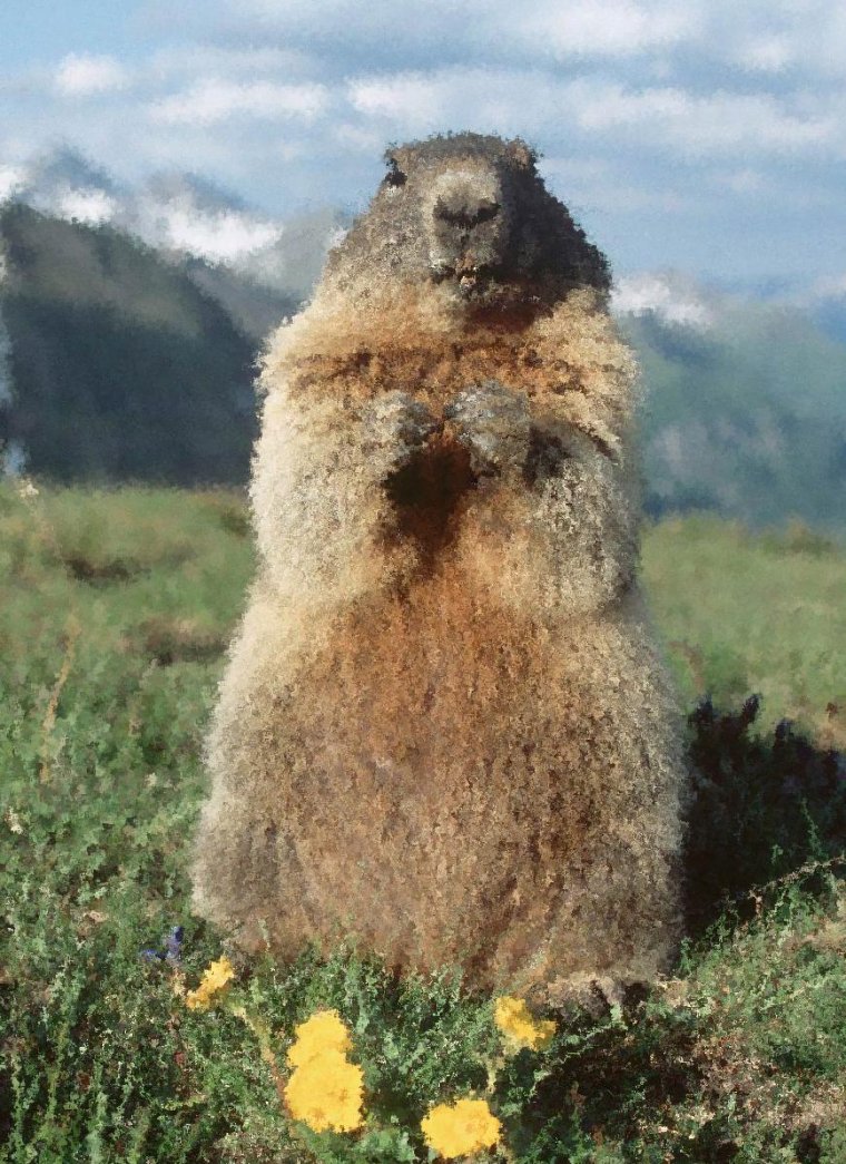 Альпийский сурок