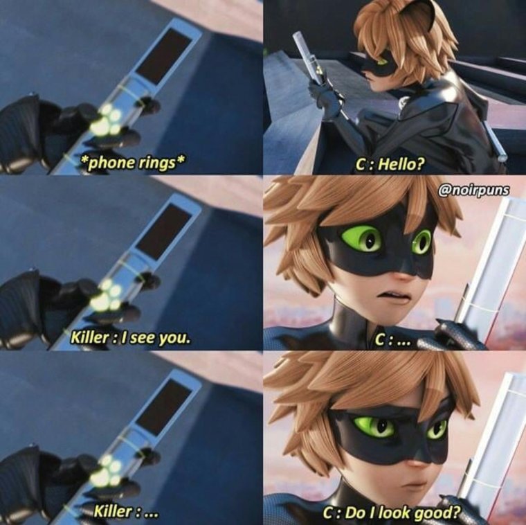 Леди баг и супер-кот приколы