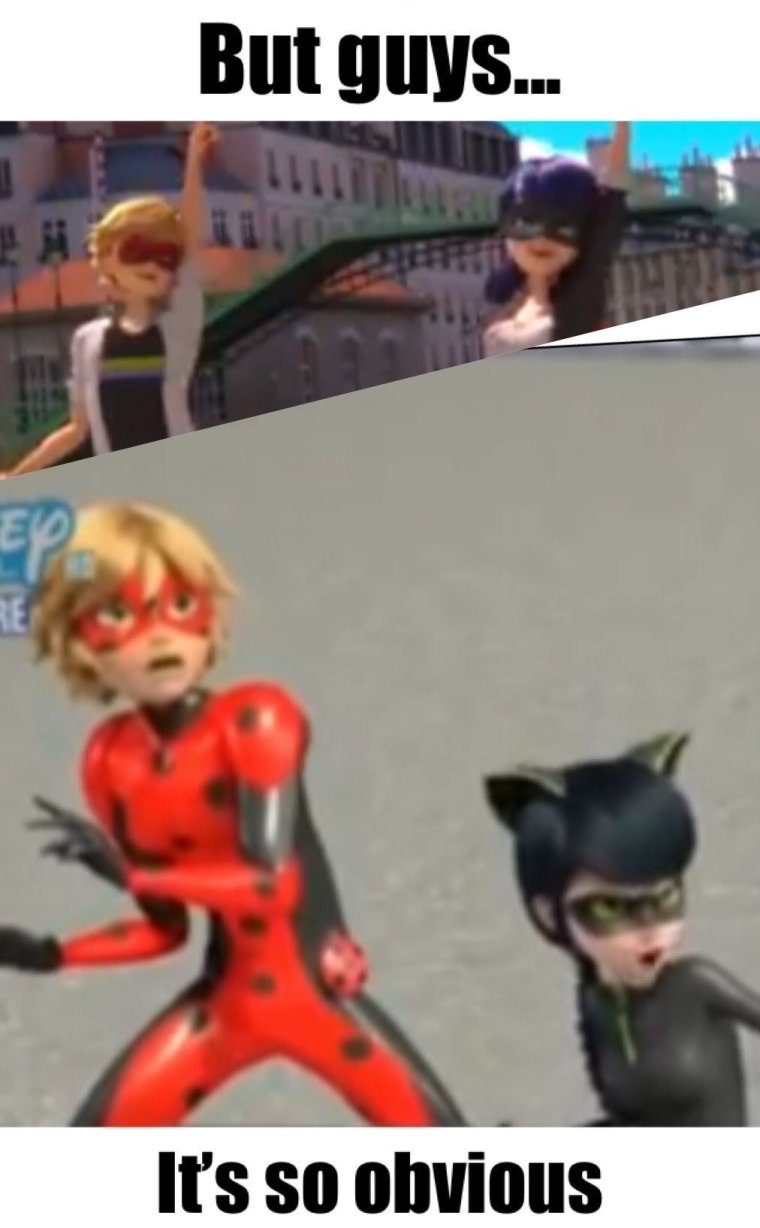 Кот Нуар Мем