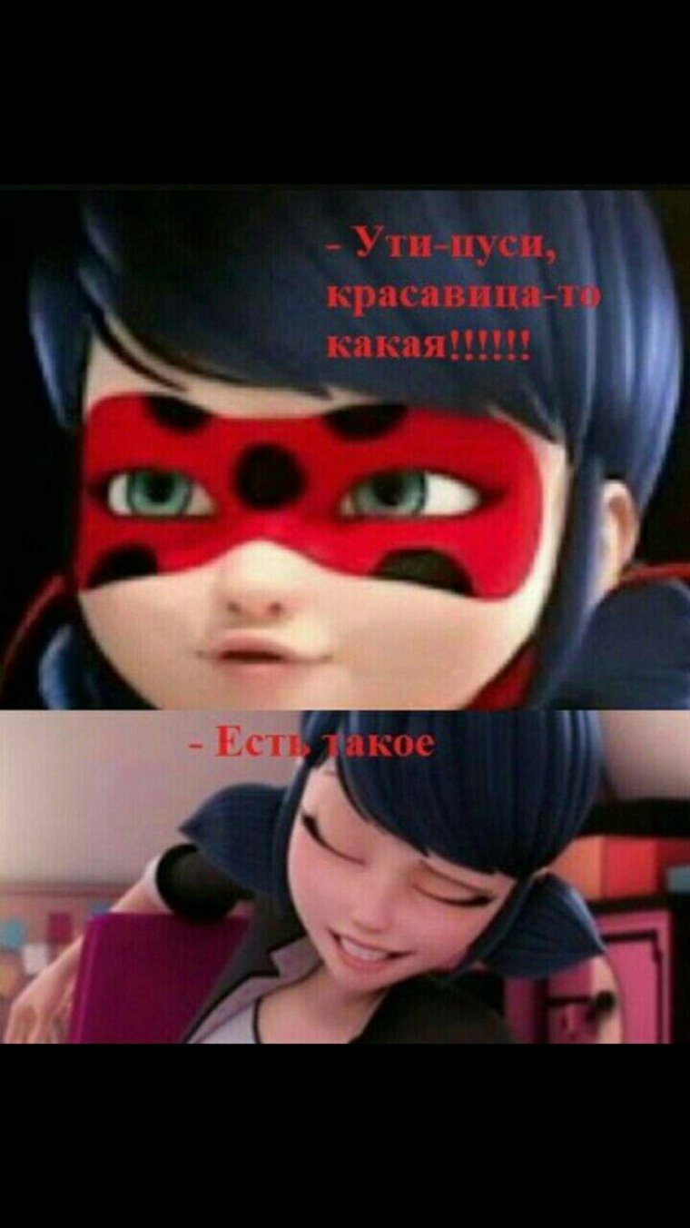 Леди баг и супер-кот приколы