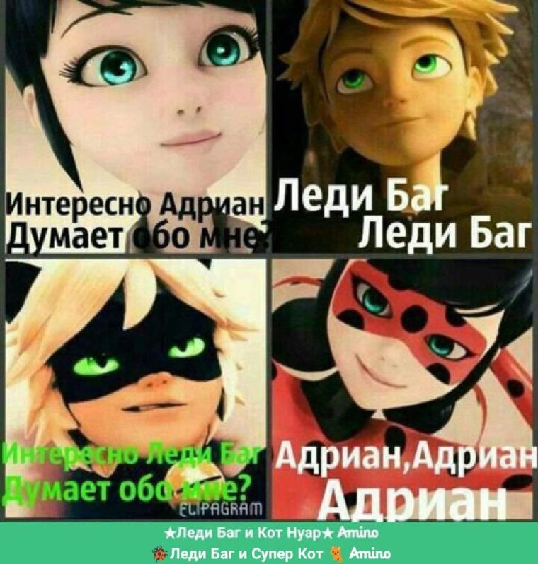 Леди баг и супер-кот приколы