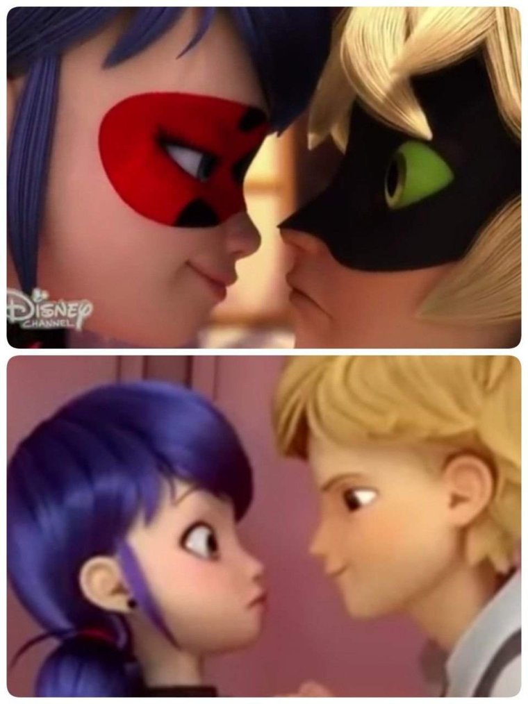 Мемы леди баг и супер кот