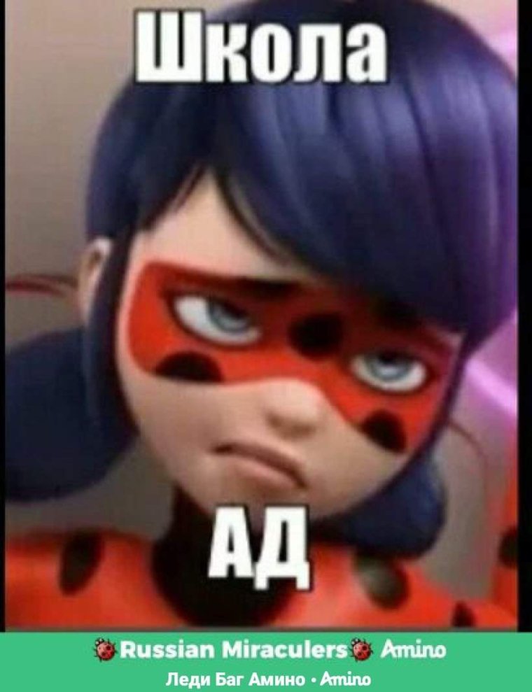 Леди баг смешные моменты