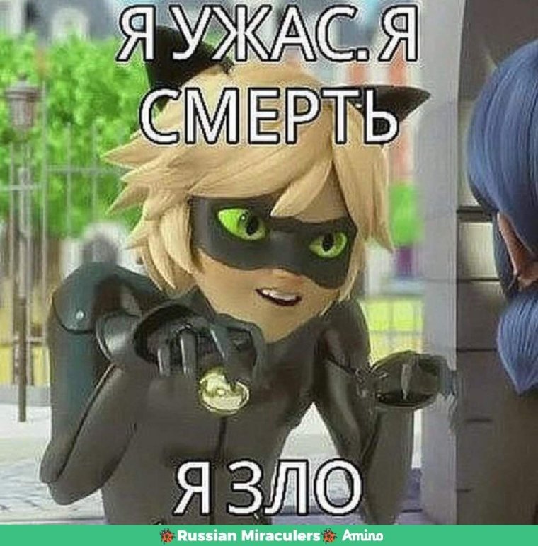 Мемы ЛБ И СК