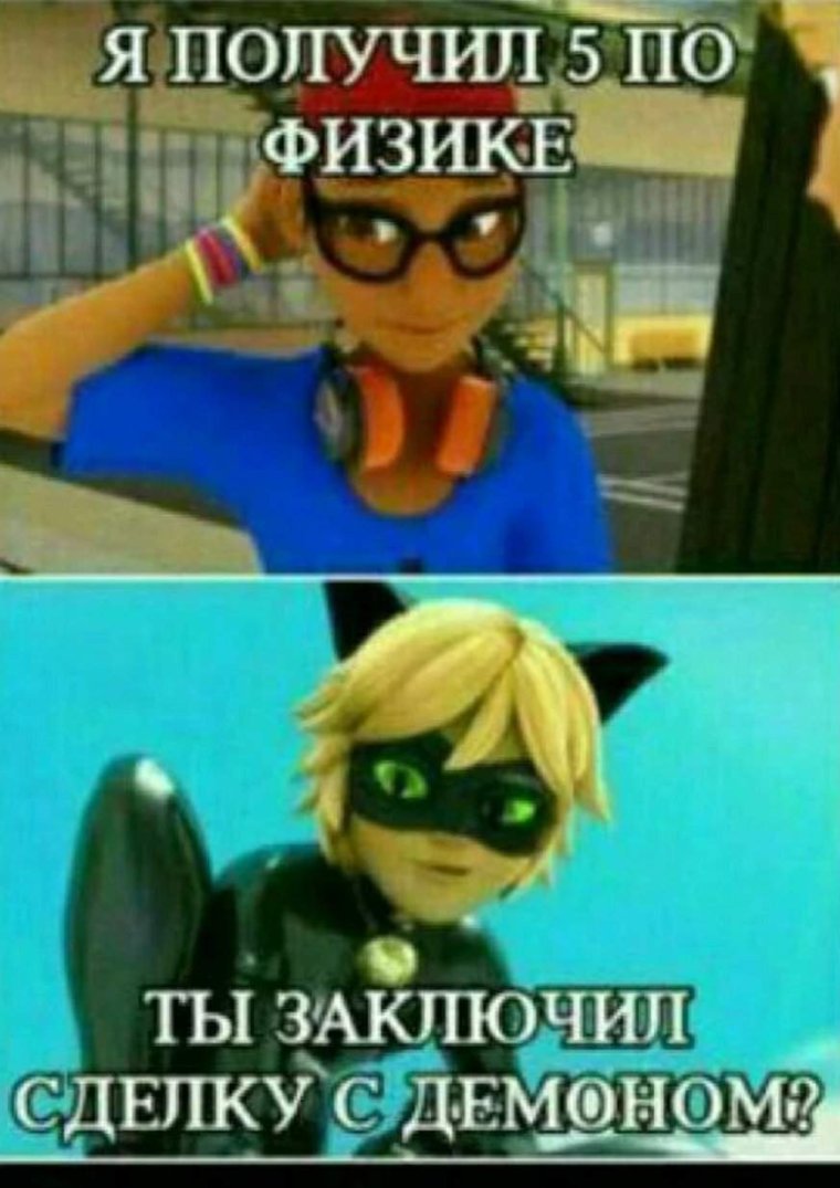 ЛЕДИБАГ И сцперкот приколы