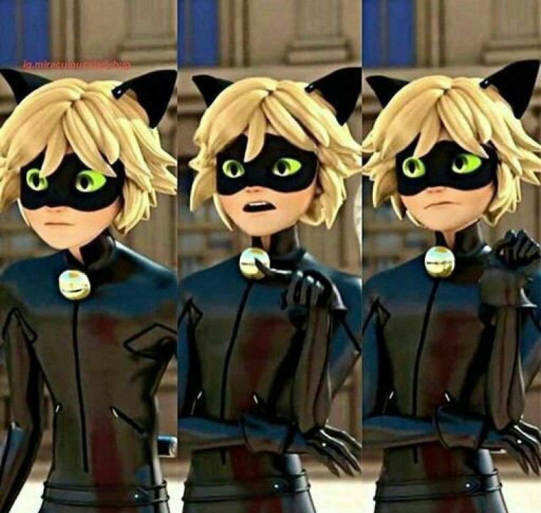 Супер кот смешные моменты