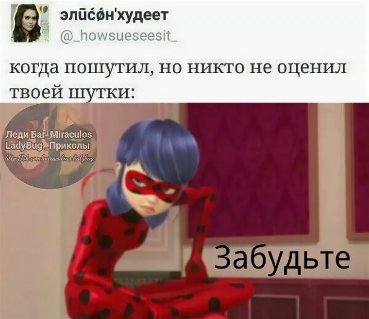 Мемы леди баг и супер кот