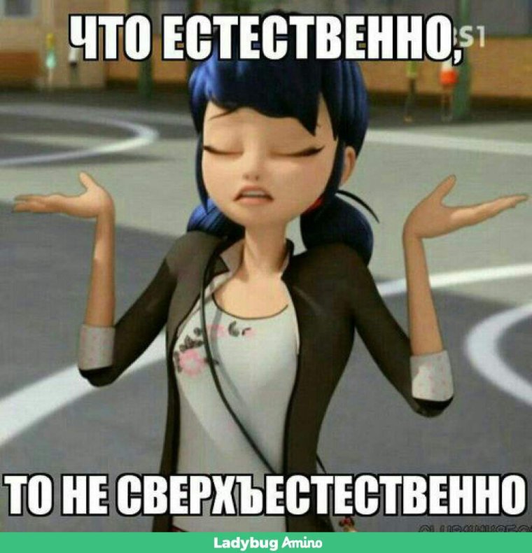 Мемы леди баг и супер ко т