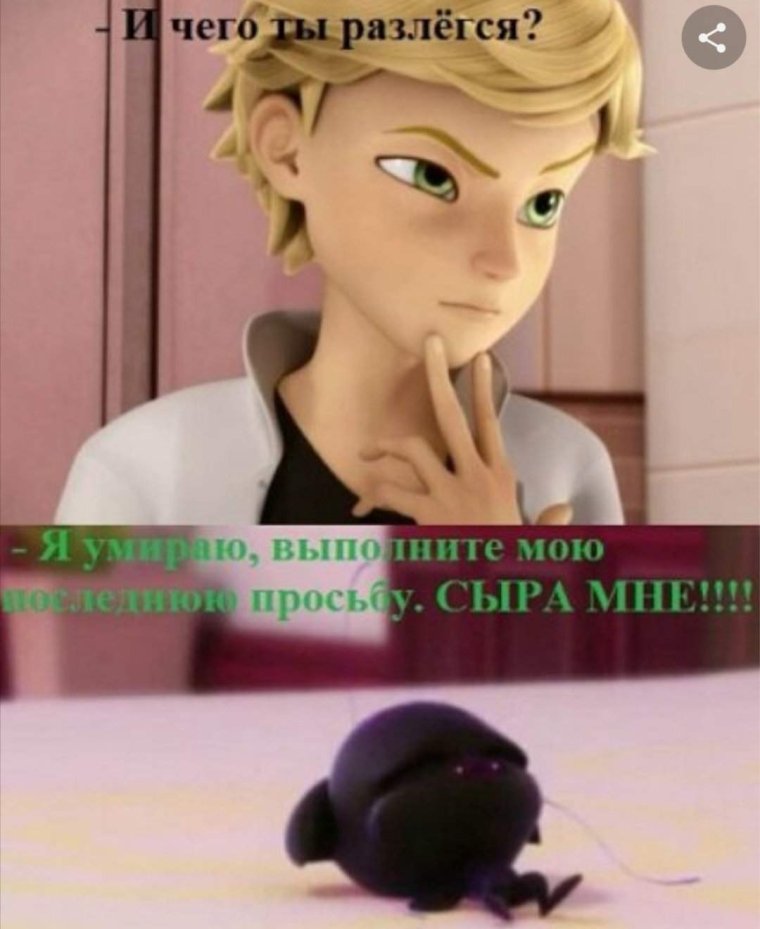 Леди баг и супер-кот приколы