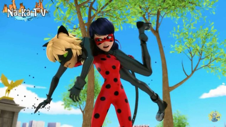 Ferjuasi Ladybug ferjuasi