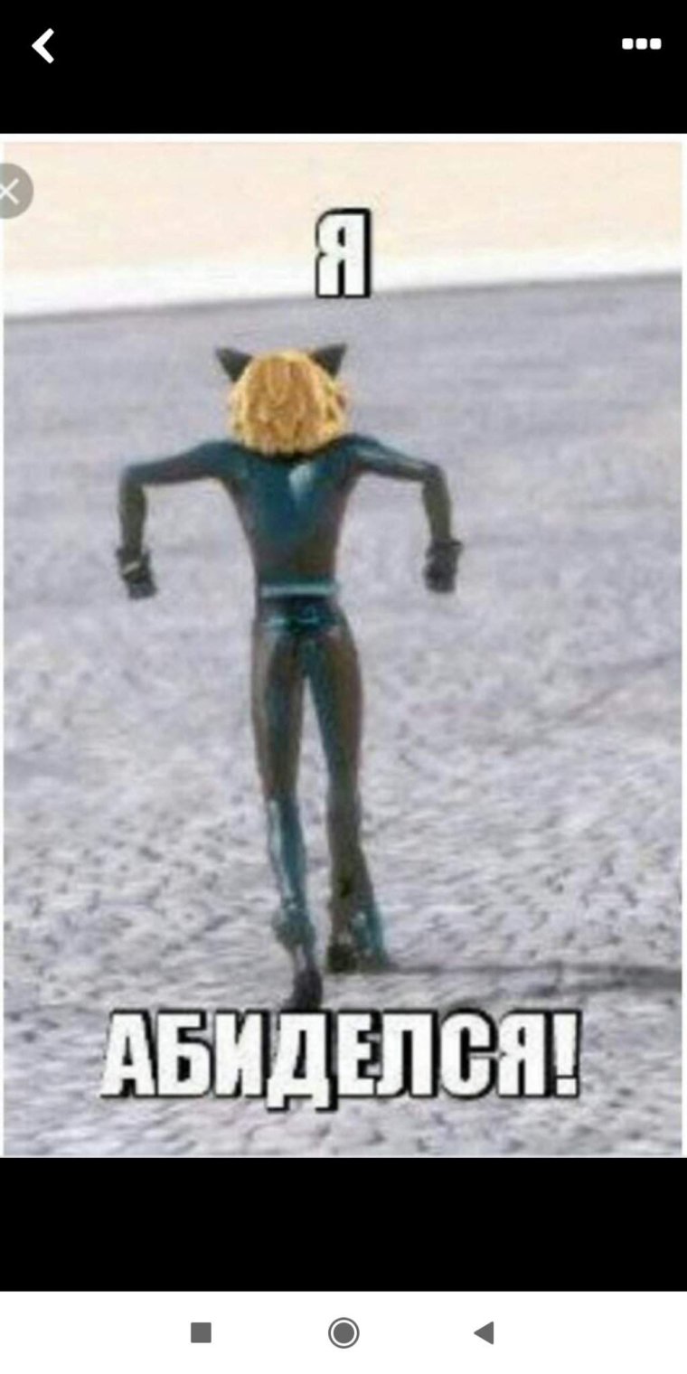 Мемы по леди баг