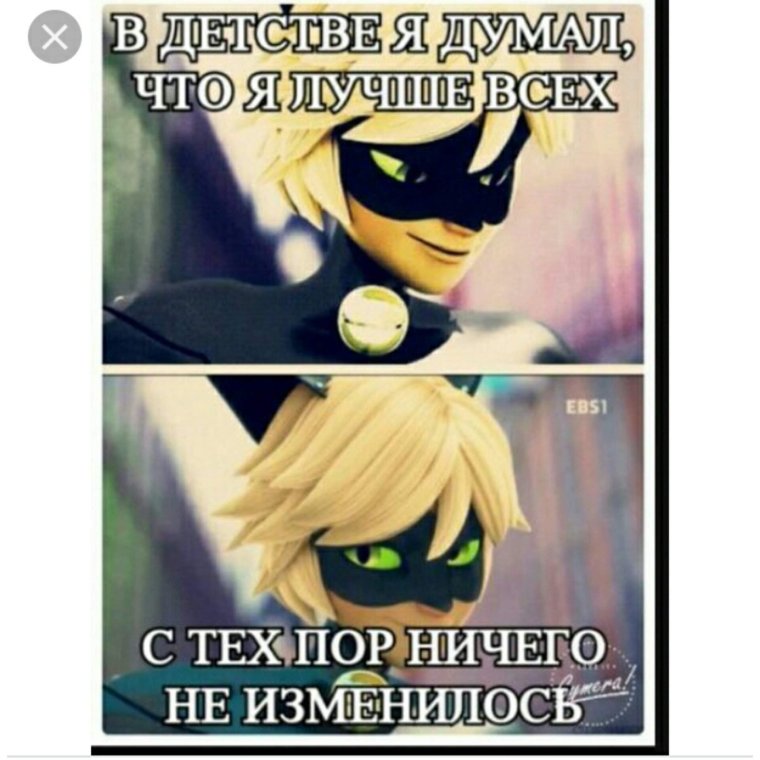 ЛЕДИБАГ И сцперкот приколы