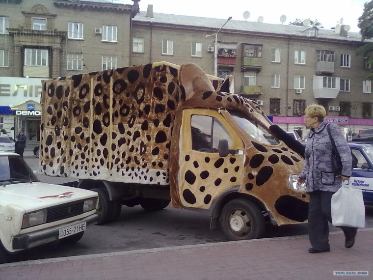 Смешная газелька