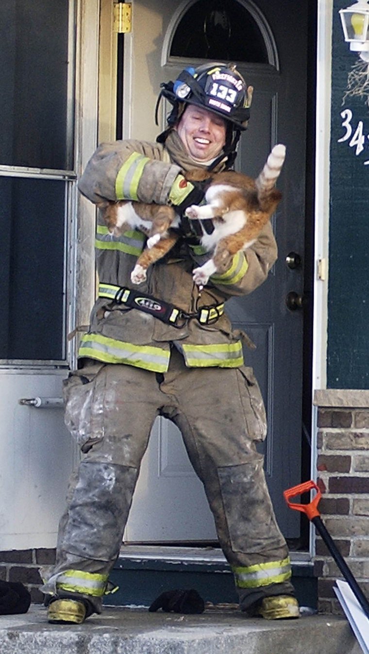 Кошка пожарник