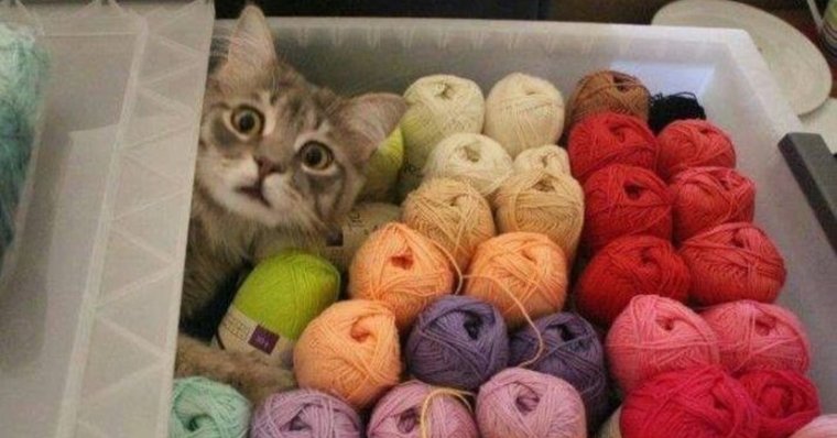 Приколы про пряжу