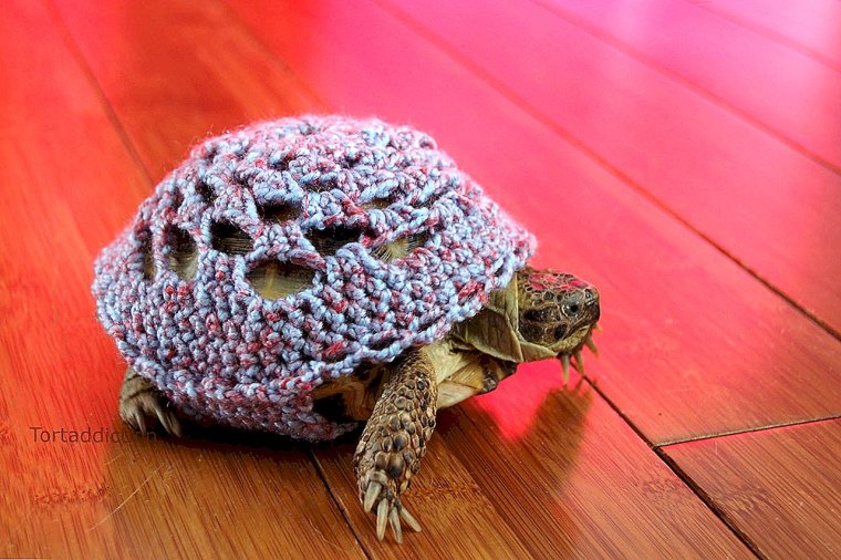 Приколы про спицы