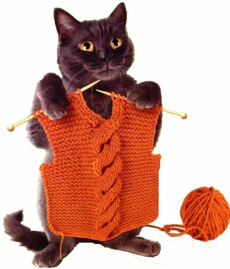 Вязаные свитера с котиками