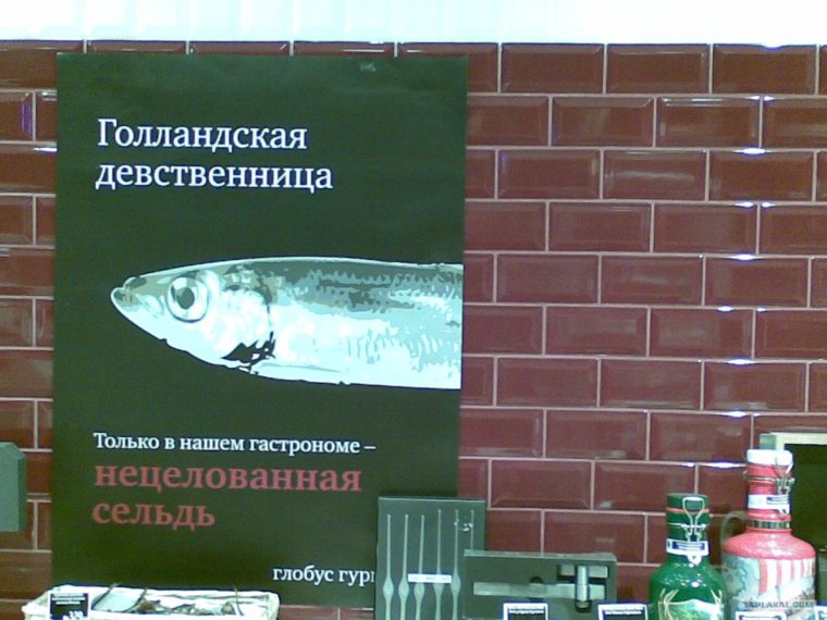 Смешная селедка