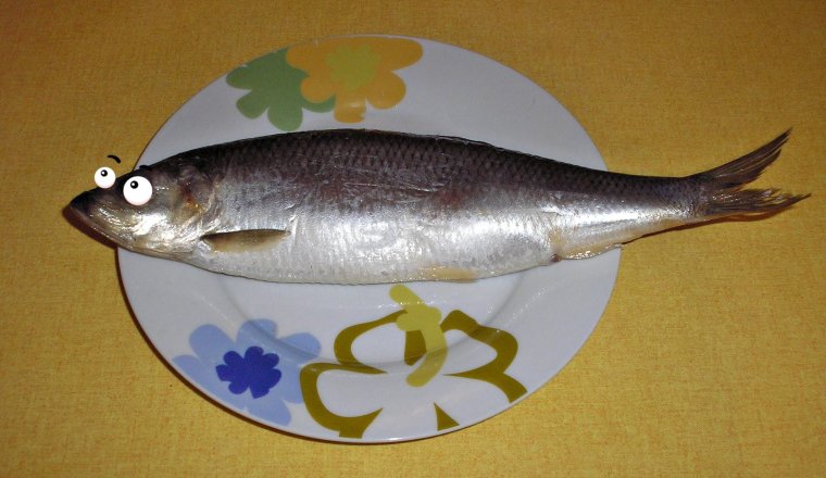 Смешная селедка
