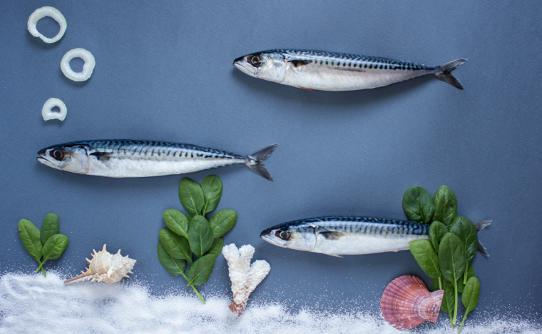 Веселая селедка