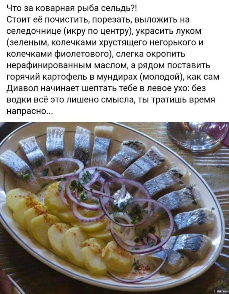 Стихи про селедку прикольные