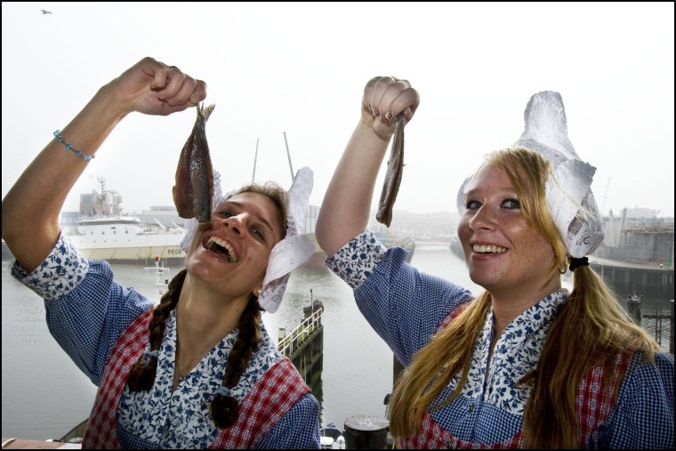Праздник селедки в Голландии